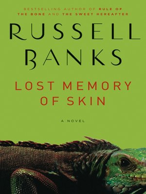 cover image of Lost Memory of Skin